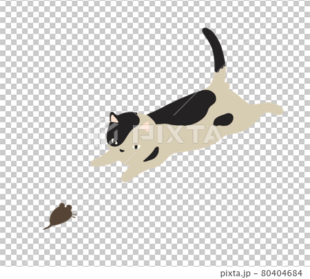 一隻貓和一隻老鼠盯著的插圖-斑紋貓 80404684