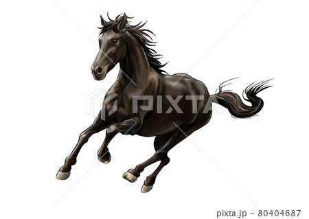 走る馬 黒馬 のイラスト素材