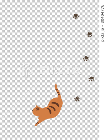歩く猫-トラ猫 80404776