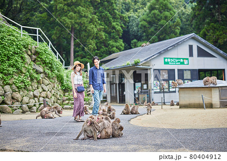 動物園デートを楽しむ若いカップル(撮影協力「高崎山自然動物園」) 動物園デートを楽しむ若いカップル(撮影協力「高崎山自然動物園」) 80404912