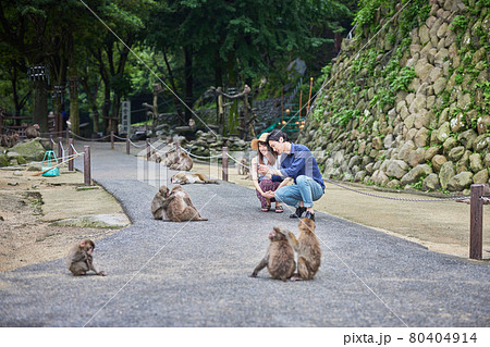 動物園デートで猿をスマホで撮影する若いカップル(撮影協力「高崎山自然動物園」) 動物園デートで猿をスマホで撮影する若いカップル(撮影協力「高崎山自然動物園」) 80404914