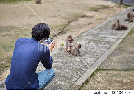 動物園デートで猿をスマホで撮影する若い男性(撮影協力「高崎山自然動物園」) 動物園デートで猿をスマホで撮影する若い男性(撮影協力「高崎山自然動物園」) 80404918
