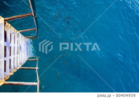 view down from the steel old stairs on the pier into the Mediterranean turquoise blue beautiful sea with fishes. Tropical vacation on the Turkish coast. Copy space view down from the steel old stairs on the pier into the Mediterranean turquoise blue beautiful sea with fishes. Tropical vacation on the Turkish coast. Copy space 80404939