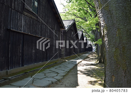 山居倉庫 ケヤキ並木 山居倉庫 ケヤキ並木 80405783