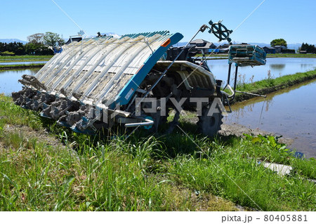 田植え中の水田 田植え中の水田 80405881