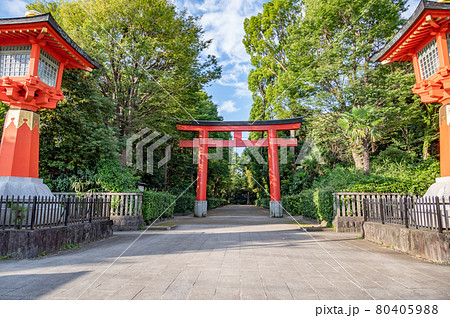 井草八幡宮 80405988