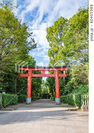 井草八幡宮 80405989