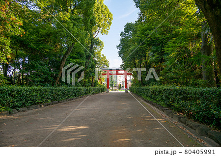 井草八幡宮 80405991