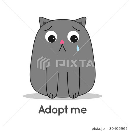 Cat sad crying below the inscription Adopt me 80406965