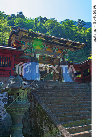 妙義神社 唐門 妙義神社 唐門 80406996