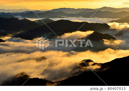 野迫川村の雲海 80407013