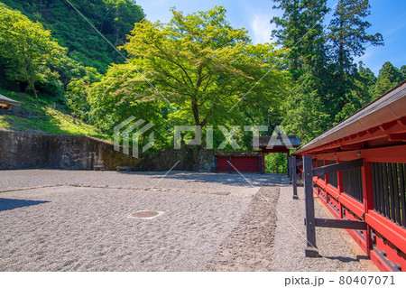 妙義神社 本社付近 境内 妙義神社 本社付近 境内 80407071