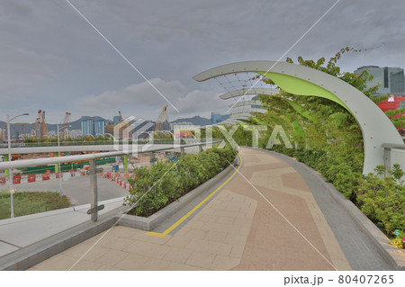 the seasonal walkways at Kai Tak Sky Garden, HK 25 June 2021 the seasonal walkways at Kai Tak Sky Garden, HK 25 June 2021 80407265