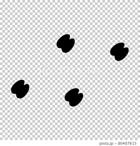 Camel footprints Camel footprints 80407615