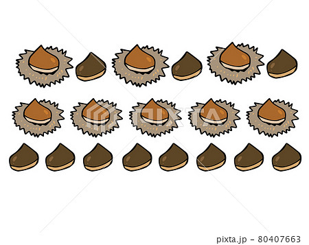 毬栗と栗のライン 線 イラストのイラスト素材