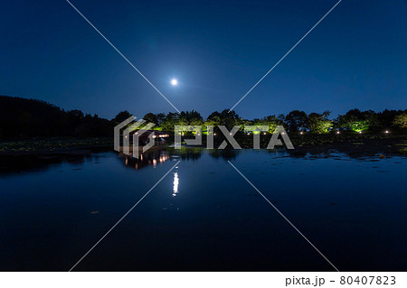 京都府京都市 大覚寺の観月の夕べで大沢池に浮かぶ龍頭鷁首舟の遊覧船の写真素材
