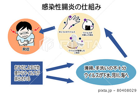 ノロウイルス 感染経路のイラスト 病気 感染症 のイラスト素材