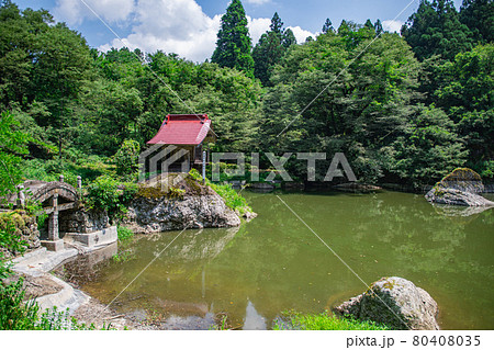 月不見の池　弁財天と新緑 80408035