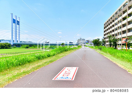 是政橋/多摩川 下流/府中市側より望む(東京都府中市)【2021.7】 是政橋/多摩川 下流/府中市側より望む(東京都府中市)【2021.7】 80408085