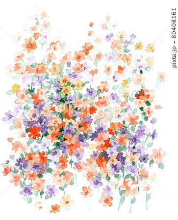 透明水彩 水彩画 花 80408161