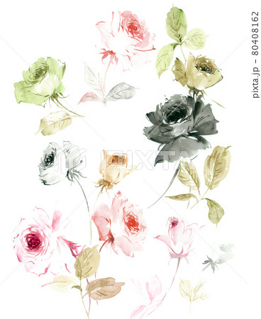 透明水彩 水彩画 花 80408162
