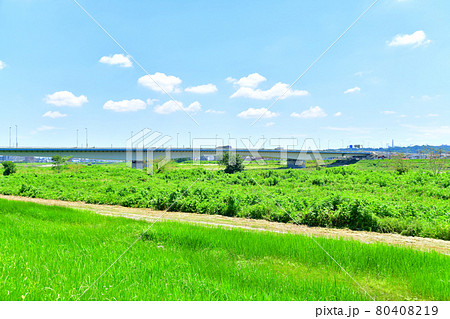 稲城大橋/多摩川を上流/府中市側より望む(東京都府中市)【2021.7】 稲城大橋/多摩川を上流/府中市側より望む(東京都府中市)【2021.7】 80408219
