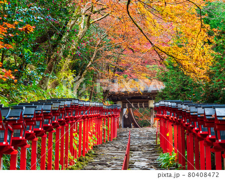 秋の京都 貴船神社 参道 秋の京都 貴船神社 参道 80408472