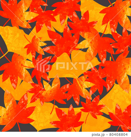紅葉 落ち葉の背景 紅葉 落ち葉の背景 80408804