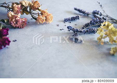 ドライフラワー　花の背景素材 80409009