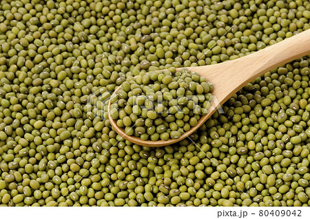 緑豆、八重生、文豆、ムング豆 80409042