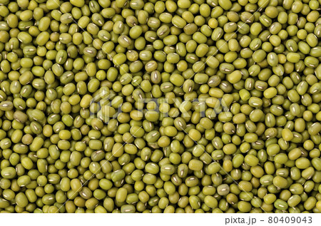 緑豆、八重生、文豆、ムング豆 緑豆、八重生、文豆、ムング豆 80409043