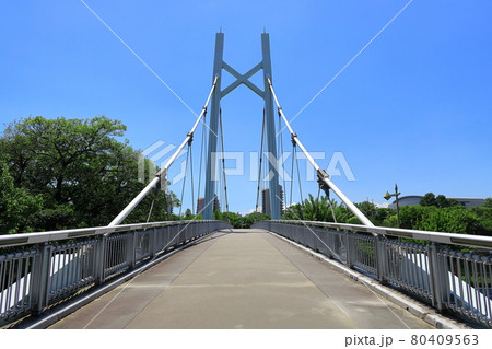 名古屋市熱田区　堀川に架かるつり橋　熱田記念橋 80409563