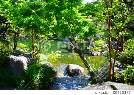 目白庭園 目白庭園 80410377