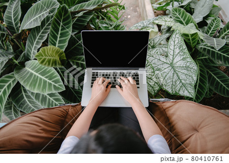 Creative Freelancer Woman Using Laptop in Cafe With Houseplant, Business Woman Online Working on Computer Laptop While Sitting Indoors Cafe. Nature Green Plant Relaxing Space and Leisure Lifestyles. 80410761