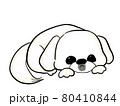 ちょこんと寝る白い犬　ペキニーズ　かわいい 80410844