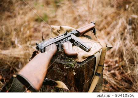 American Submachine Weapon Of World War II On Forest Stump 80410856