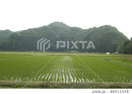 早朝　キャンプ散歩　キャンプ場からの景色　Scenic View 水田　畑　山脈 80411438
