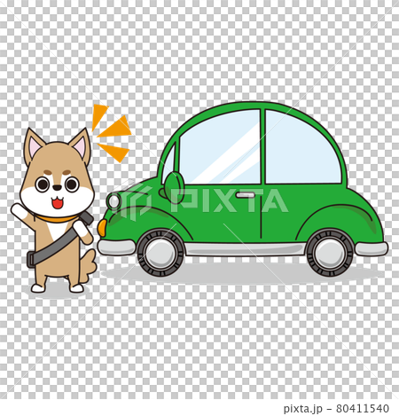 Dogs and cars that recommend safe driving Dogs and cars that recommend safe driving 80411540