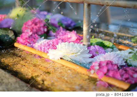水滴と花手水 80411645