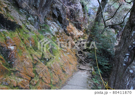 佐賀 黒髪山 竜門峡登山口から山頂(天童岩)への登山コースの景観 佐賀 黒髪山 竜門峡登山口から山頂(天童岩)への登山コースの景観 80411870