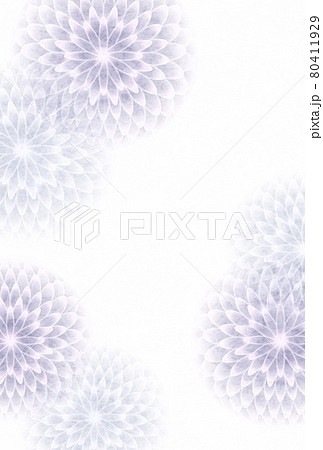 喪中　菊　はがき　背景 80411929