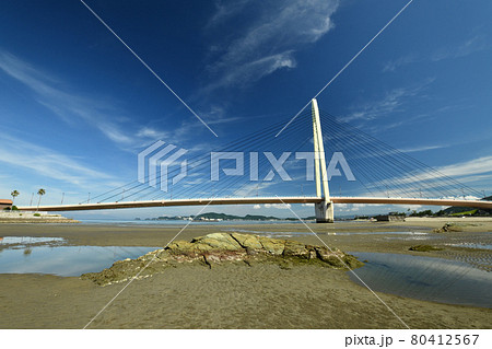 和歌山マリーナシティに架かるサンブリッジ　【和歌山県和歌山市】 80412567