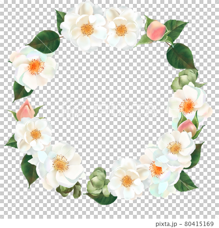 白い薔薇の花とピンクのつぼみと植物の美しい白バックのリースフレームイラスト素材 白い薔薇の花とピンクのつぼみと植物の美しい白バックのリースフレームイラスト素材 80415169