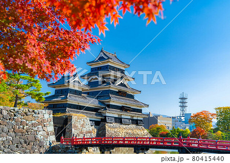 紅葉と松本城　【長野県】 80415440