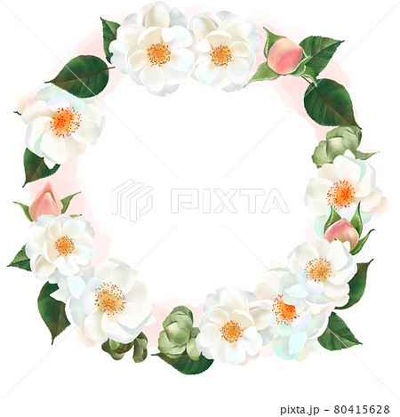 白い薔薇の花とピンクのつぼみと植物の美しい白バックのリースフレームイラスト素材のイラスト素材