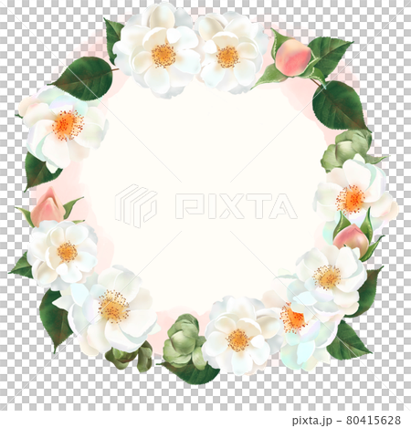 Beautiful white background wreath frame illustration material with white rose flowers and pink buds and plants Beautiful white background wreath frame illustration material with white rose flowers and pink buds and plants 80415628