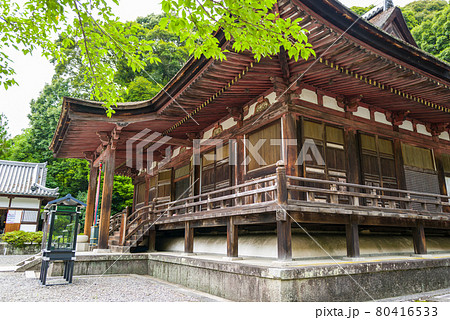 生駒のあじさい寺 長弓寺の写真素材