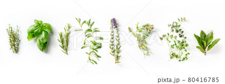 Herbes de Provence, French aromatic herbs panorama, overhead flat lay shot Herbes de Provence, French aromatic herbs panorama, overhead flat lay shot 80416785
