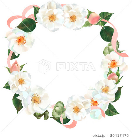 水玉模様のリボンのついた白い花とピンクのつぼみと植物のリース白バックフレームイラスト素材のイラスト素材