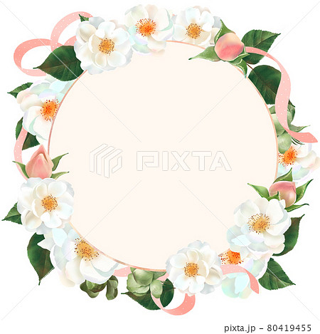 水玉模様のピンクのリボンのついた白い花とつぼみと植物の白バックのリースフレームイラスト素材 80419455